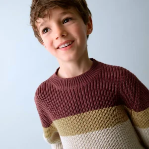 Jersey bandas Ciruela